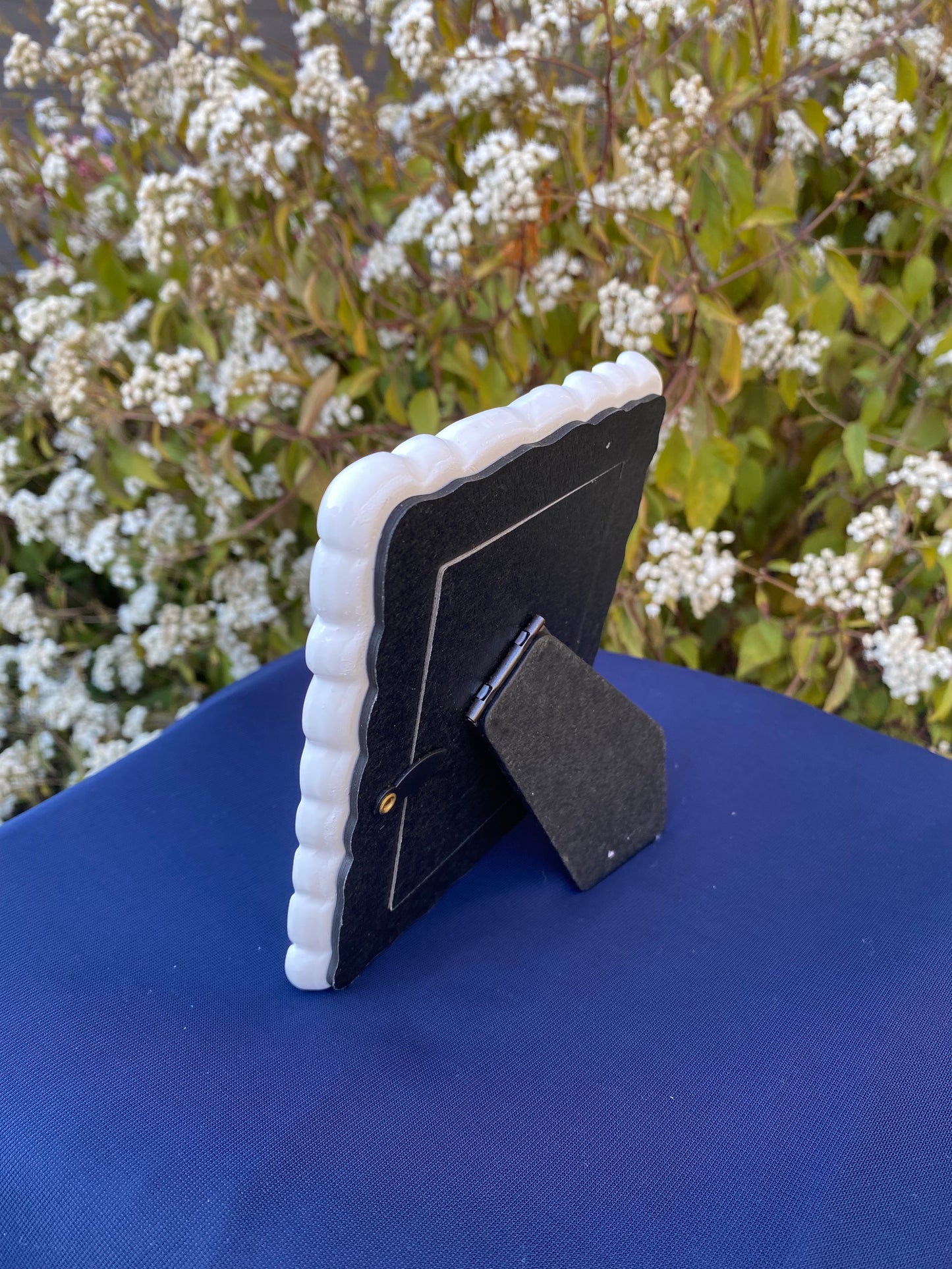 Butterfly wing frame