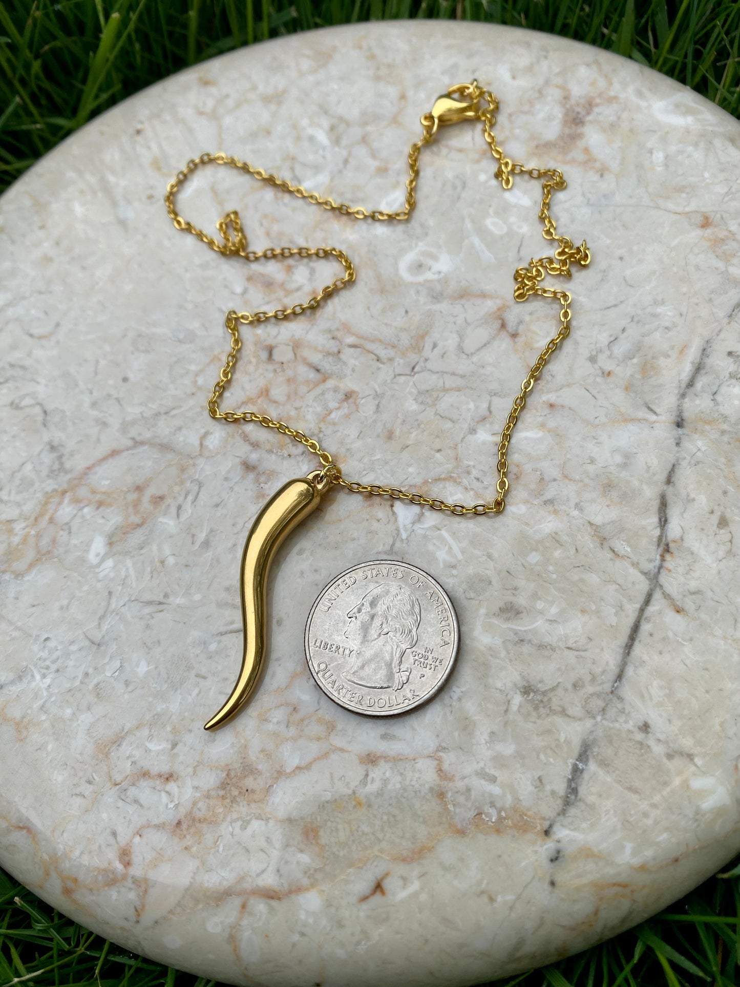 The Italian horn stainless steel necklace