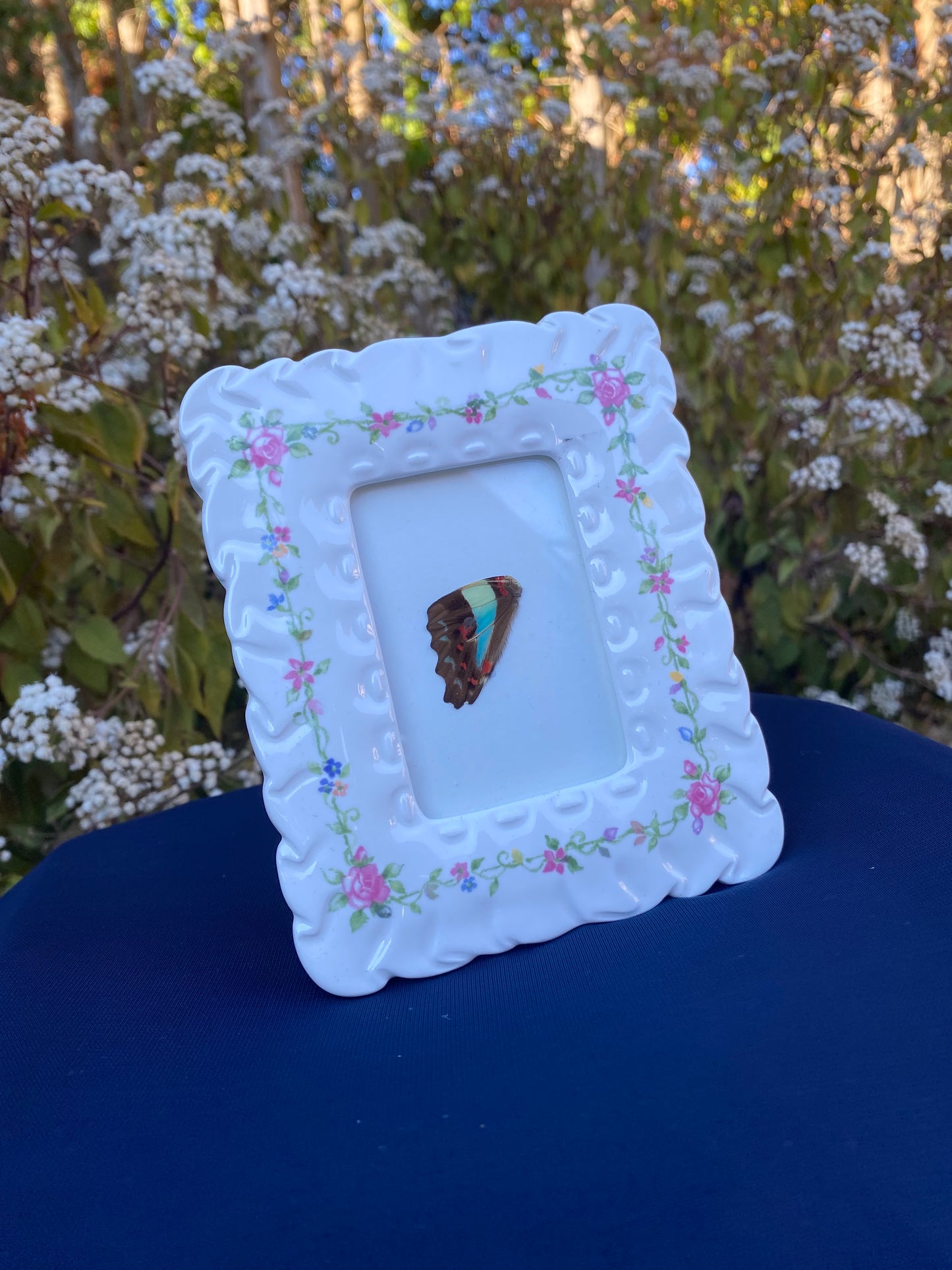 Butterfly wing frame