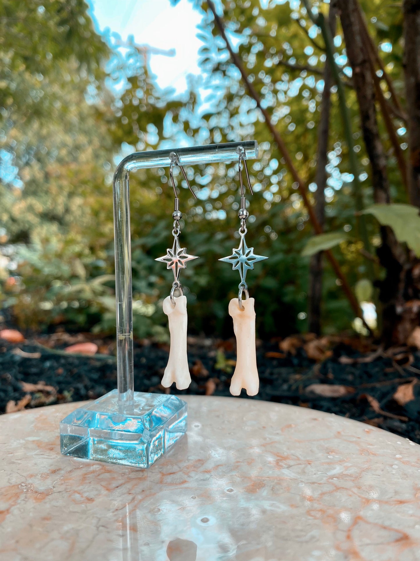 Coyote bone star stainless steel earrings