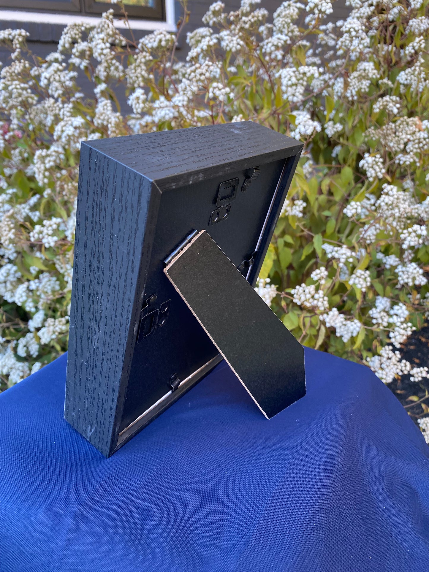 Butterfly wing frame