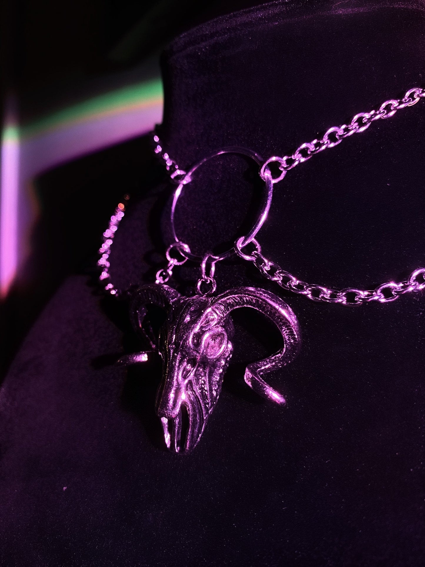 Ox ram goat skull choker