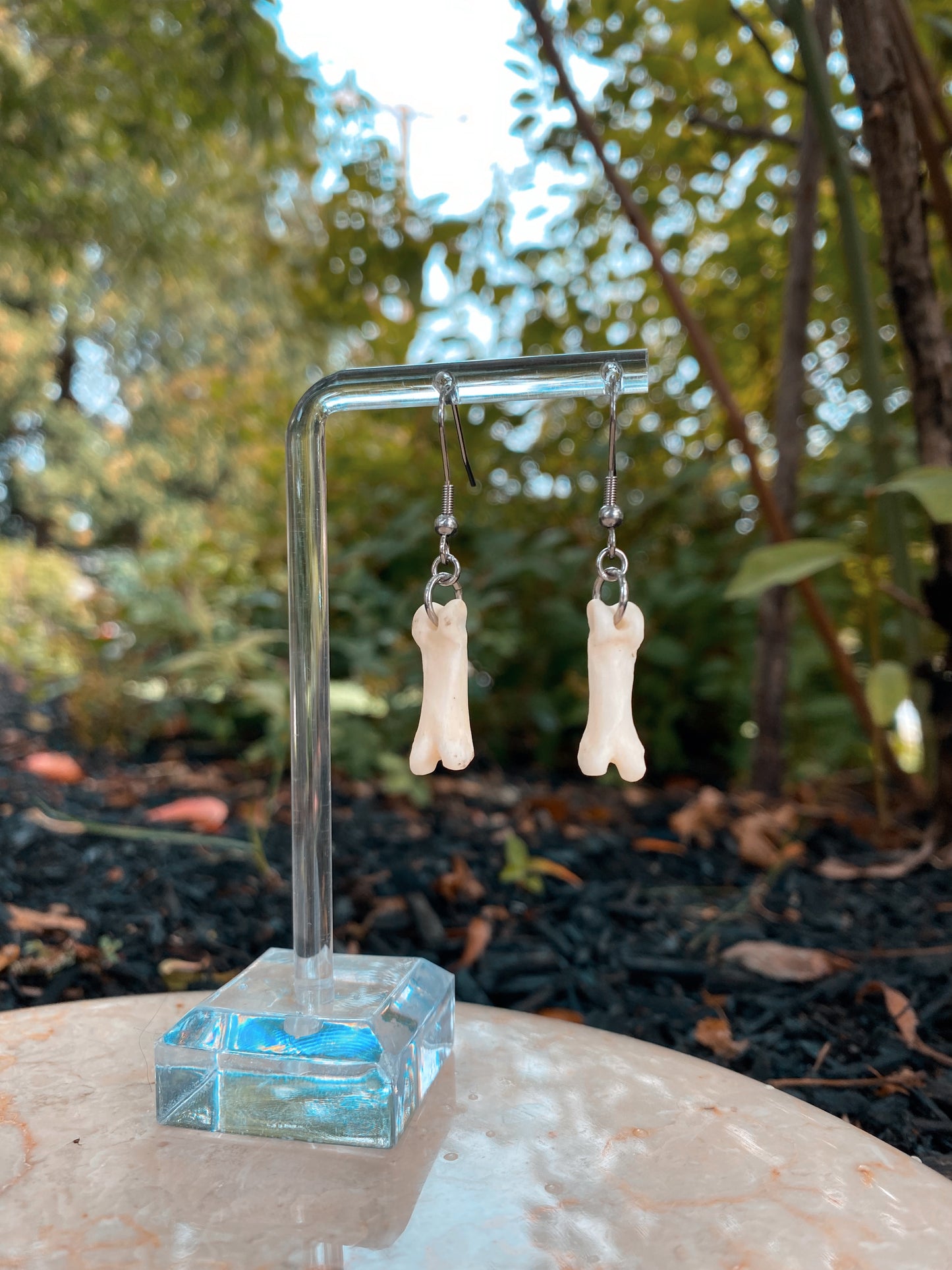 Coyote bone stainless steel earrings