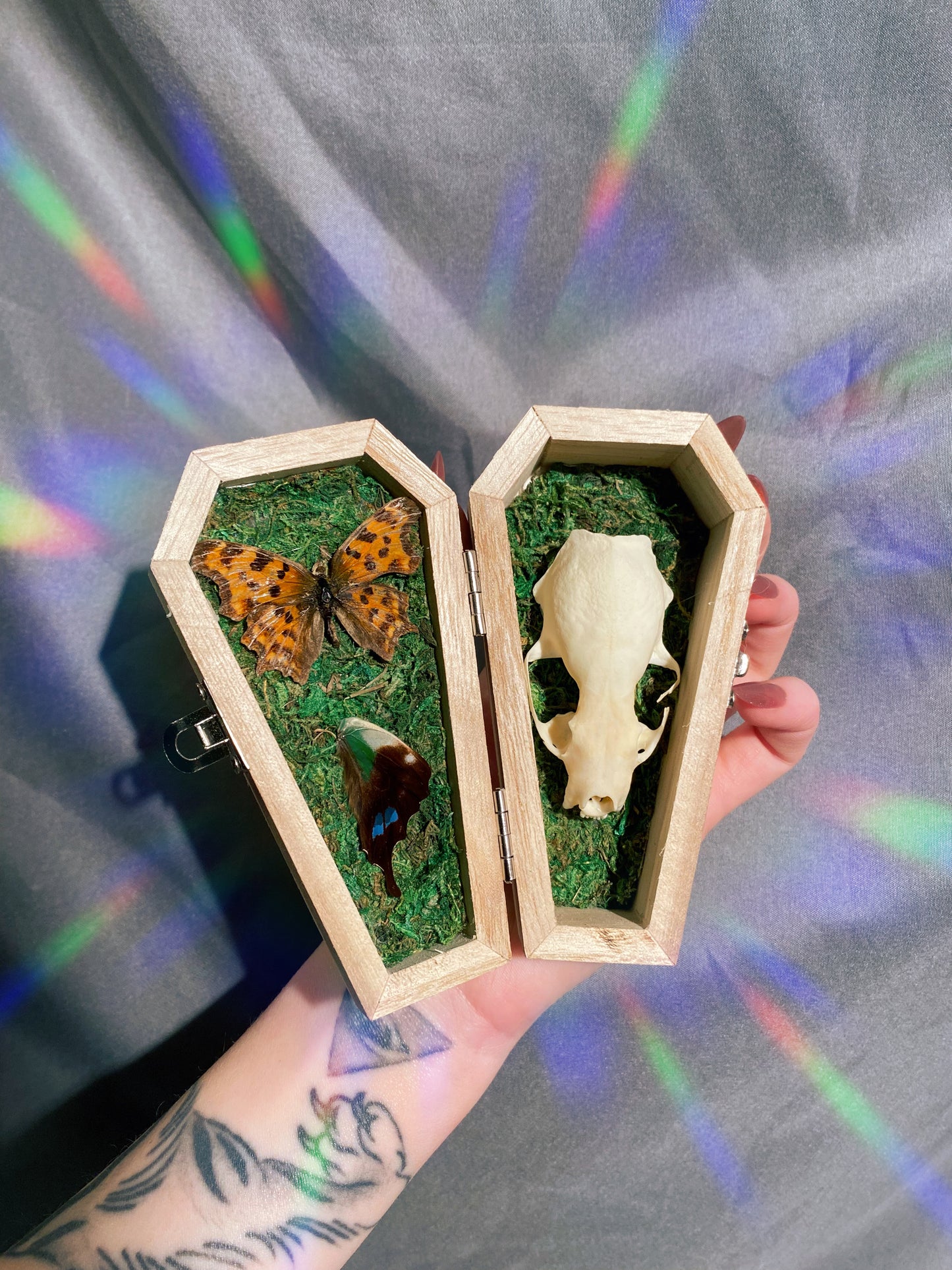 Oddity moss coffin