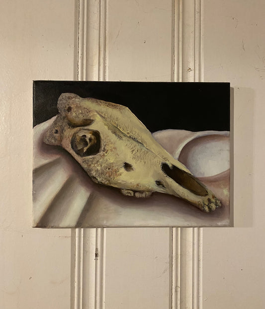 Animal skull painting