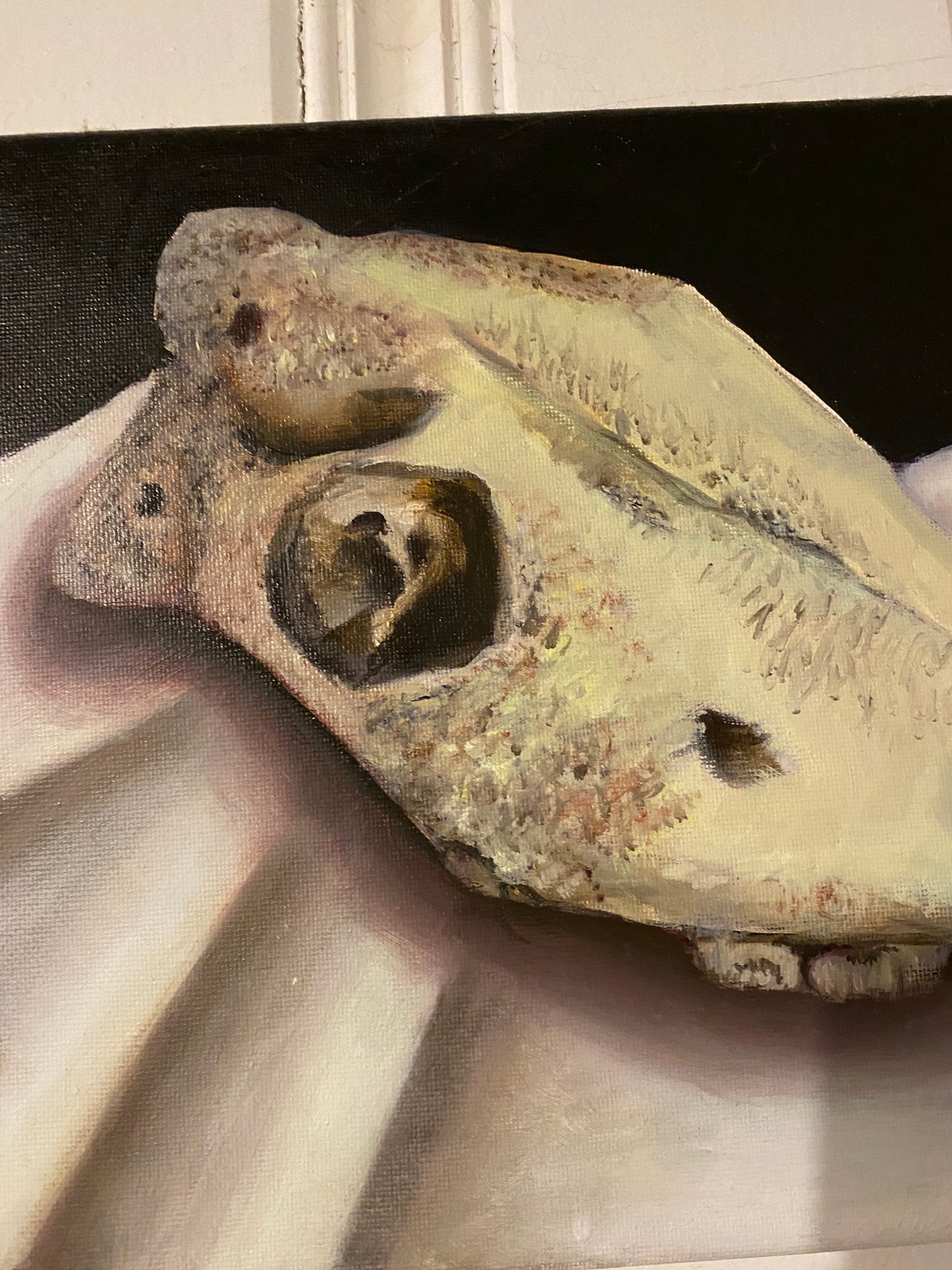 Animal skull painting