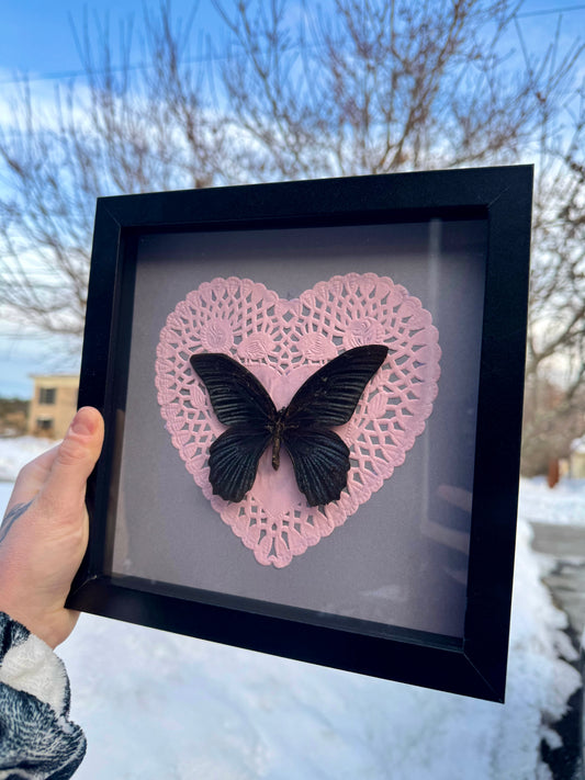 Butterfly heart shadow box