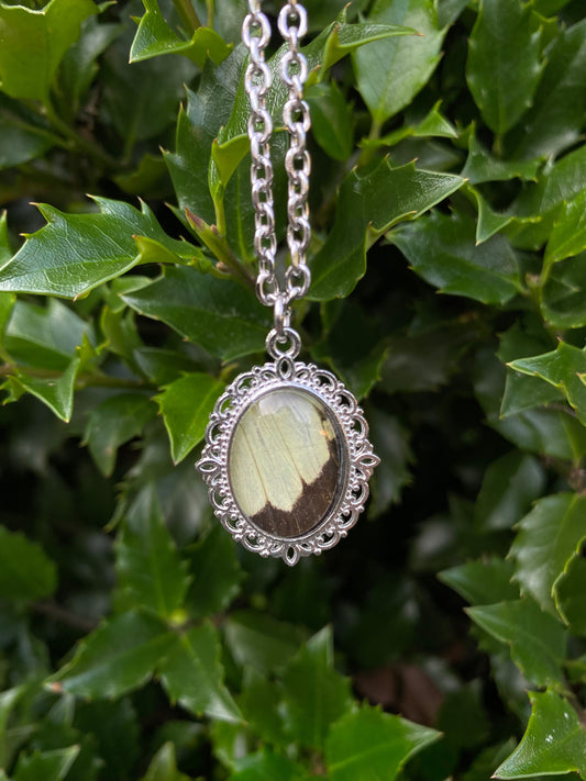 Butterfly small necklace stainless steel